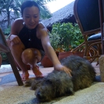 Puerto Galera
