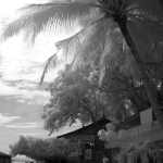 Puerto Galera
