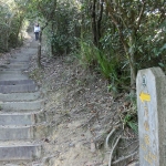 Pat Sin Leng Nature Trail