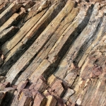 High Island Reservoir