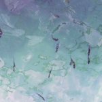 郵輪旅行 - 布吉