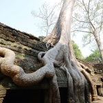 Ta Prohm