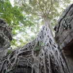 Ta Prohm