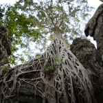 Ta Prohm