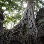 Ta Prohm