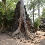 Ta Prohm