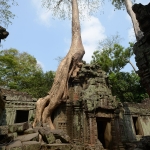 Ta Prohm