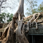 Ta Prohm
