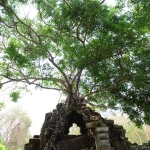 Beng Mealea