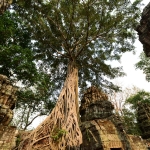 Ta Prohm