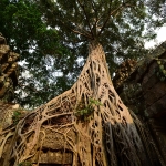 Ta Prohm