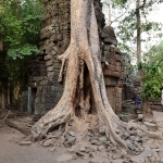 Ta Prohm