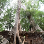Ta Prohm