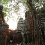 Ta Prohm