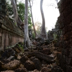 Ta Prohm