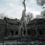 Ta Prohm