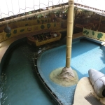 Universal Studios - Madagascar