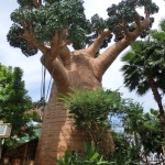 Universal Studios - Madagascar