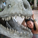 Universal Studios - Lost World