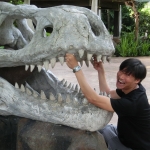 Universal Studios - Lost World