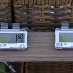 Electronic Shelf Label