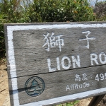 Lion Rock 495m