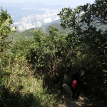 Descent from Lion Rock Peak