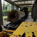 LinTianShan Forestry Cultural Park