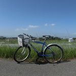 Dongshan river water park