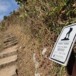 MacLehose Trail Stage 4