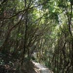 Hong Kong Trail section 1