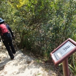 Hong Kong Trail section 1