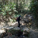 Hong Kong Trail section 1