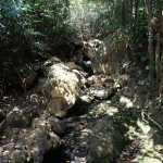 Hong Kong Trail section 1