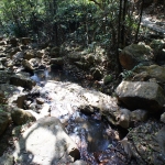 Hong Kong Trail section 1