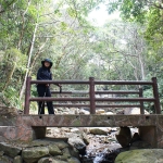 Hong Kong Trail section 1