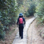 Hong Kong Trail section 2