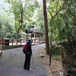 Hong Kong Trail section 3