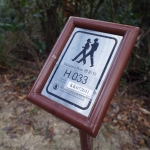 Hong Kong Trail section 3