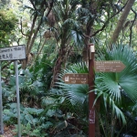 Hong Kong Trail section 3