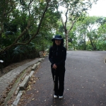 Hong Kong Trail section 3