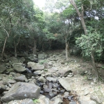 Hong Kong Trail section 3
