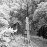 Hong Kong Trail section 3