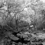 Hong Kong Trail section 3