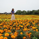 Nokonoshima Island Park