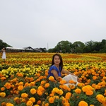Nokonoshima Island Park