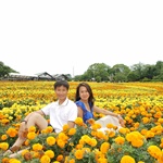 Nokonoshima Island Park