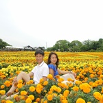 Nokonoshima Island Park