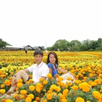 Nokonoshima Island Park