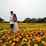 Nokonoshima Island Park